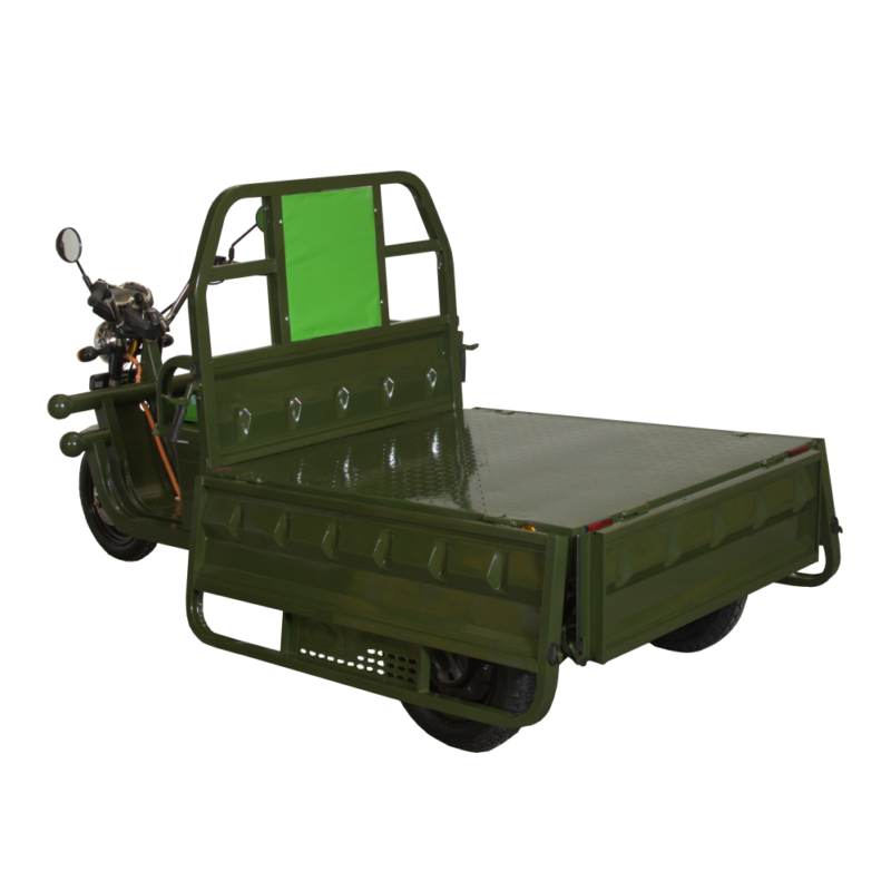 Tricycle électrique certifié Cargo 500 MOVE ECO