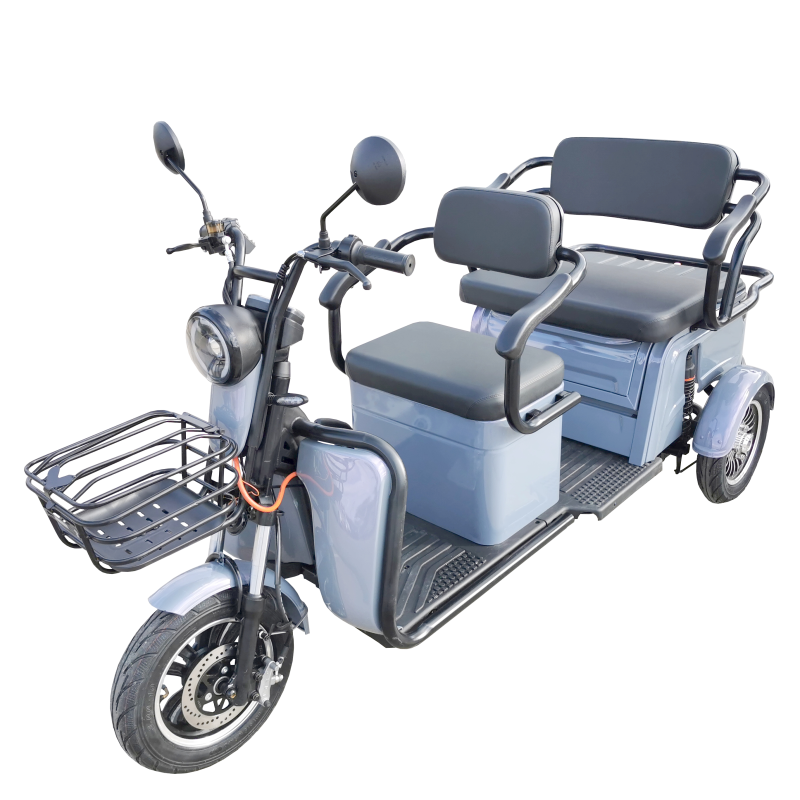 Tricycle électrique pour les personnes